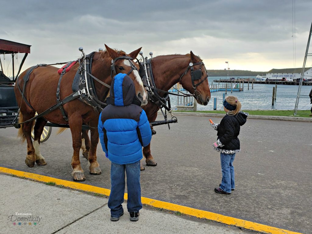 Mackinac Island with kids - they'll love the horses