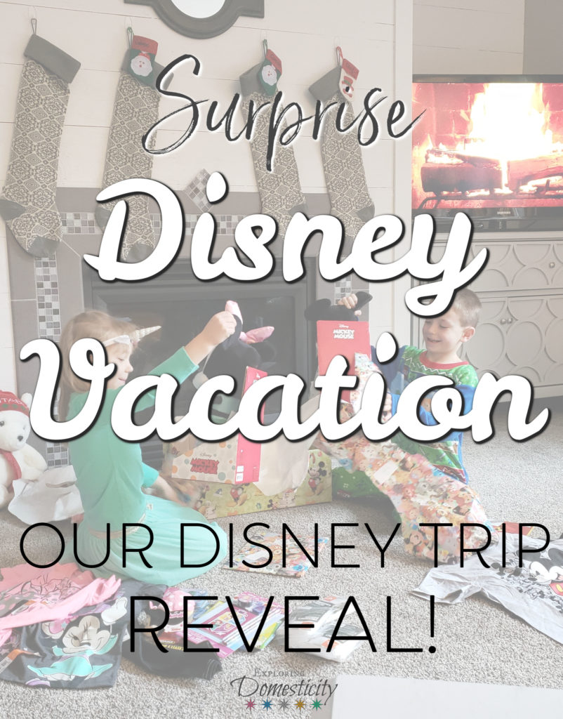 Surprise Disney Vacation - our Disney trip reveal