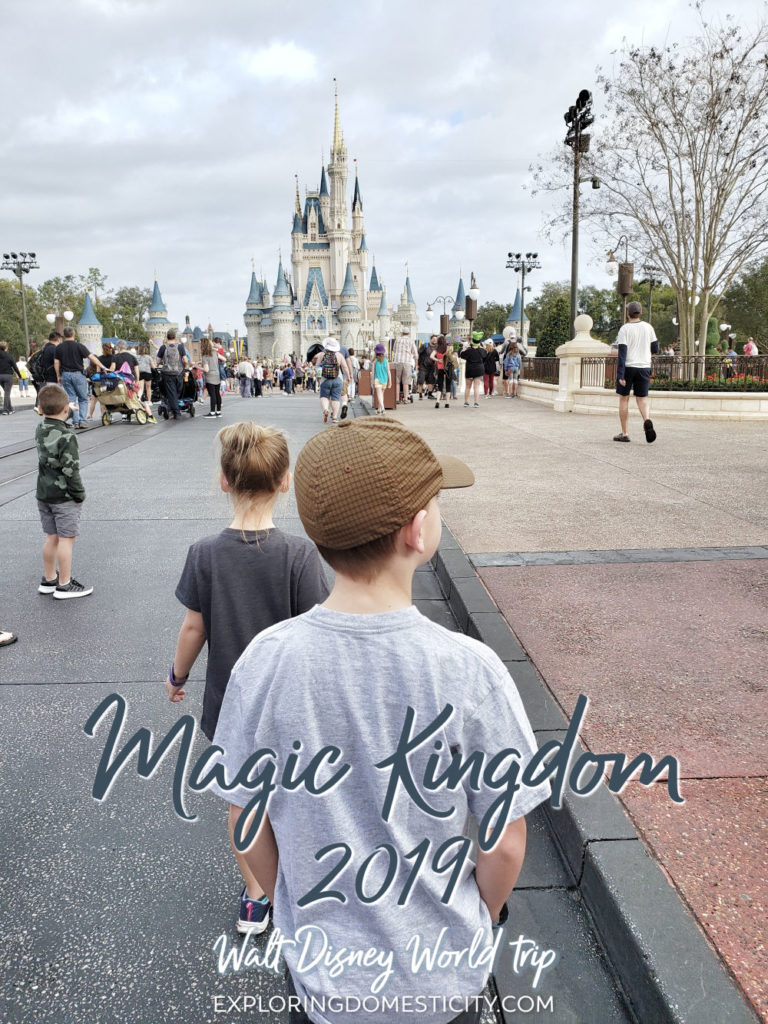 Magic Kingdom 2019 - Walt Disney World Trip