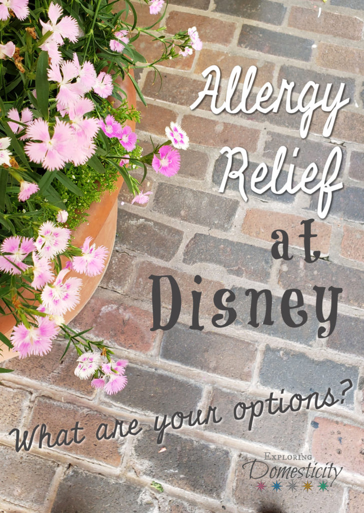 Allergy Relief at Disney - What are your options?