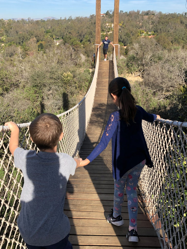kids holding hands crossing a rope bridge