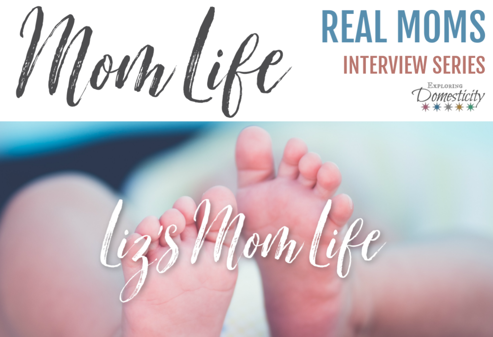 Liz's Mom Life_ Real Moms Interview Series