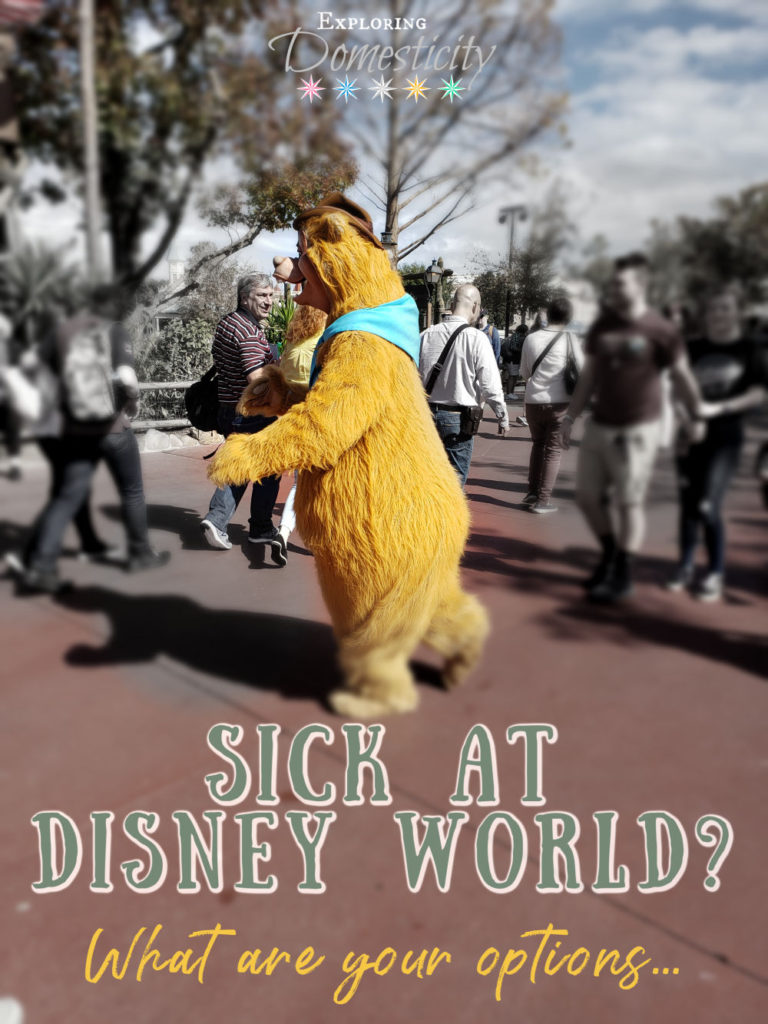 Country Bear character at Walt Disney World Magic Kingdom with text - Sick at Disney World? What are your options...
