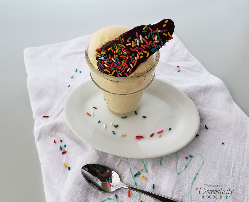 Vanilla Ice Cream with Chocolate and Sprinkles fancy ice cream topper