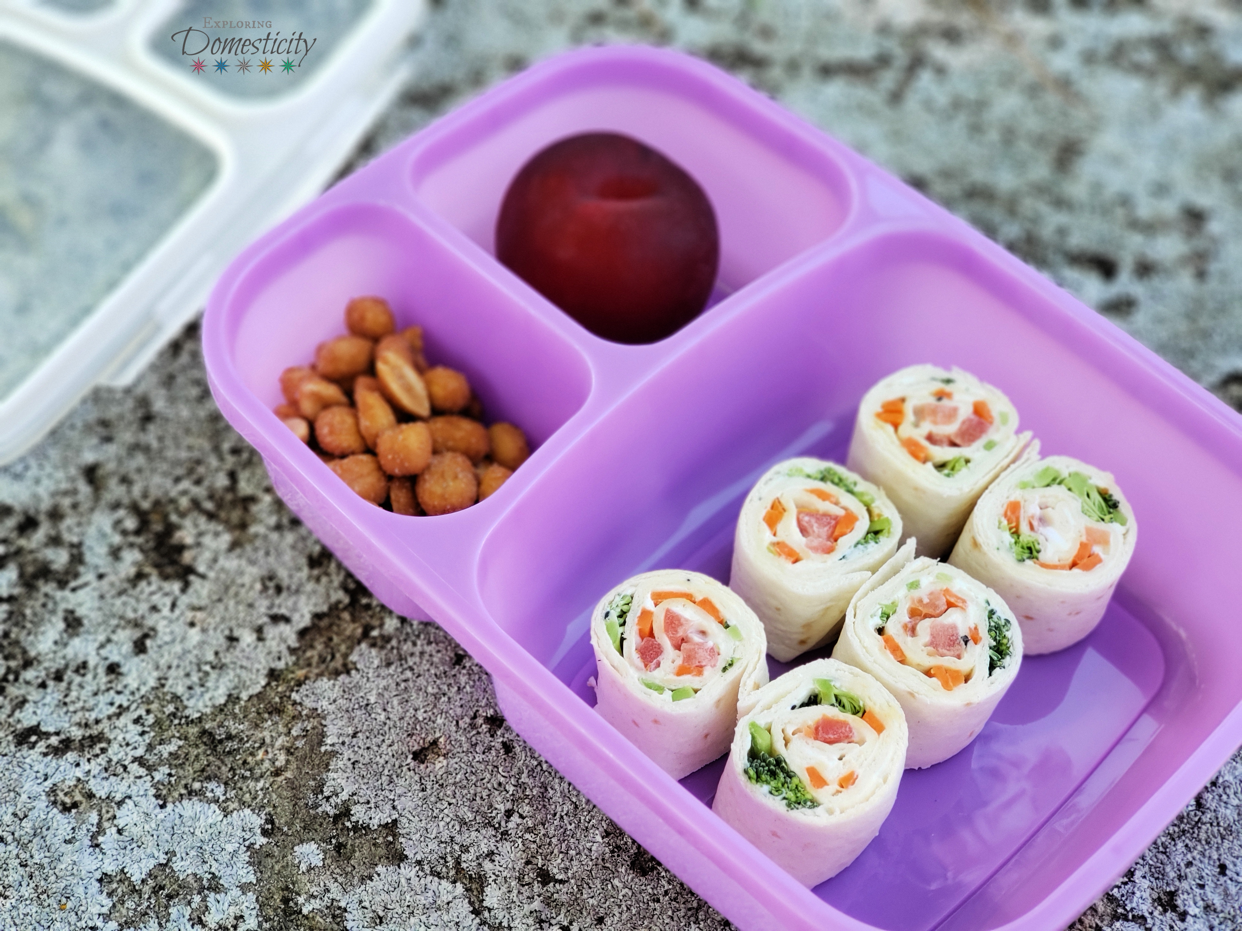 Back to School Lunch Box Pinwheel Ideas - Mary's Whole Life