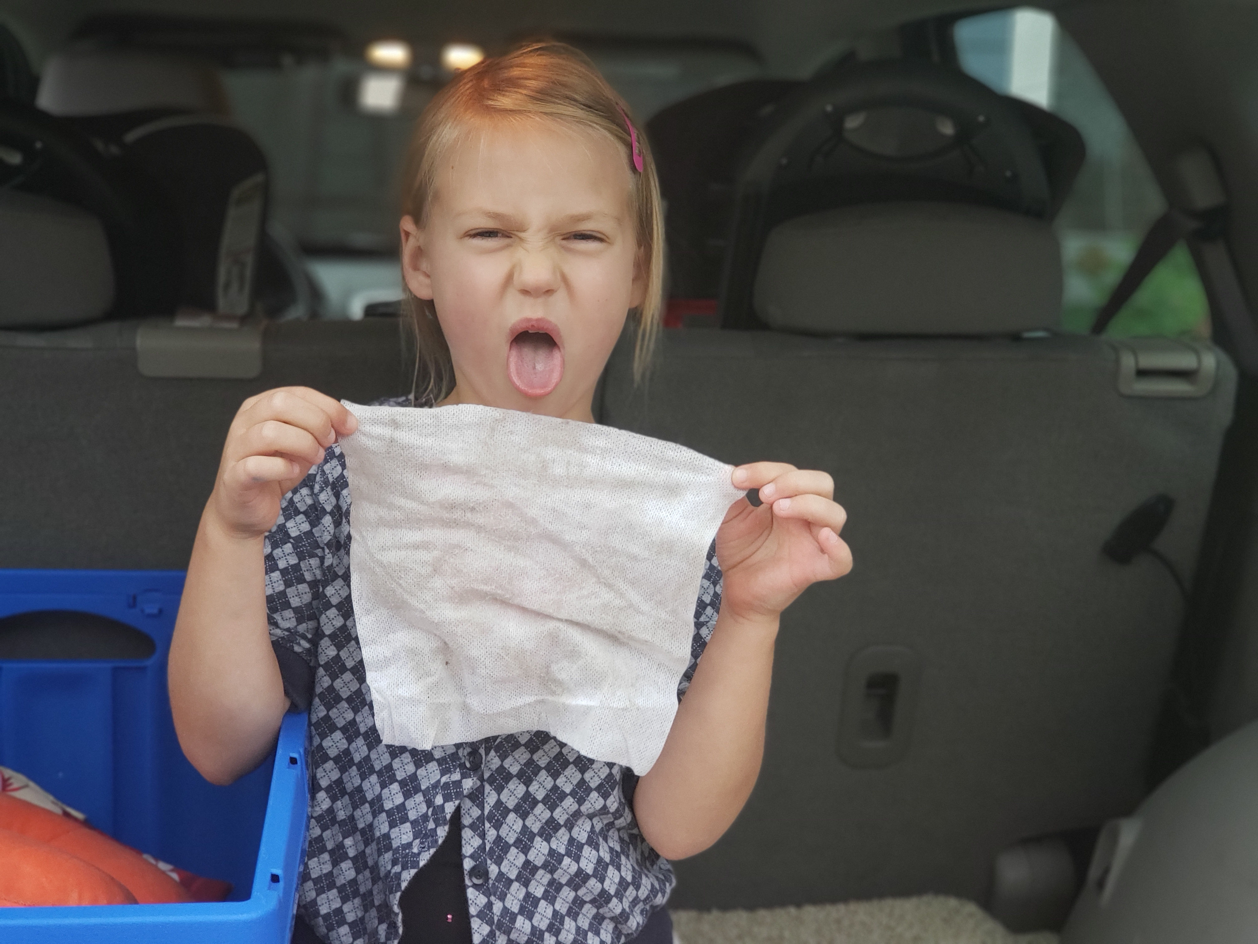 https://exploringdomesticity.com/wp-content/uploads/2019/09/Cleaning-a-dirty-Mom-Car-with-Armor-All-cleaning-wipes.jpg