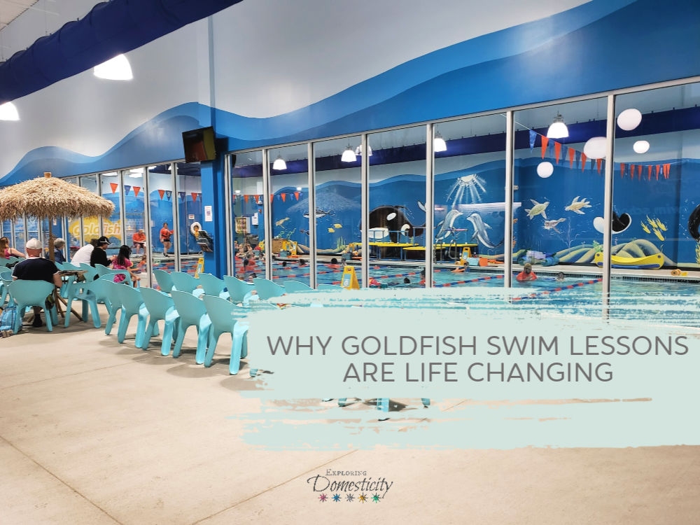 Why Goldfish Swim Lessons Are Life Changing ⋆ Exploring Domesticity