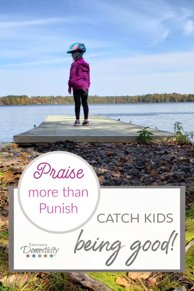 Praise more than punish - catch kids being good