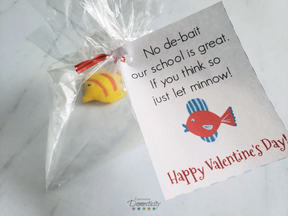 Fish Valentine with fish bag and printable cards