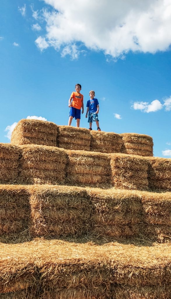 kids on hay bales