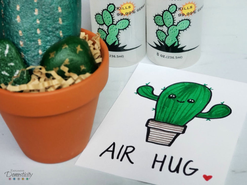 Air Hug Cactus Card and Cactus Gift