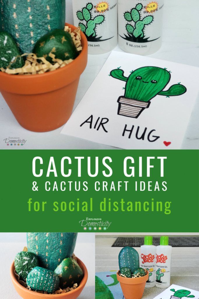 Cactus Gift and cactus craft ideas