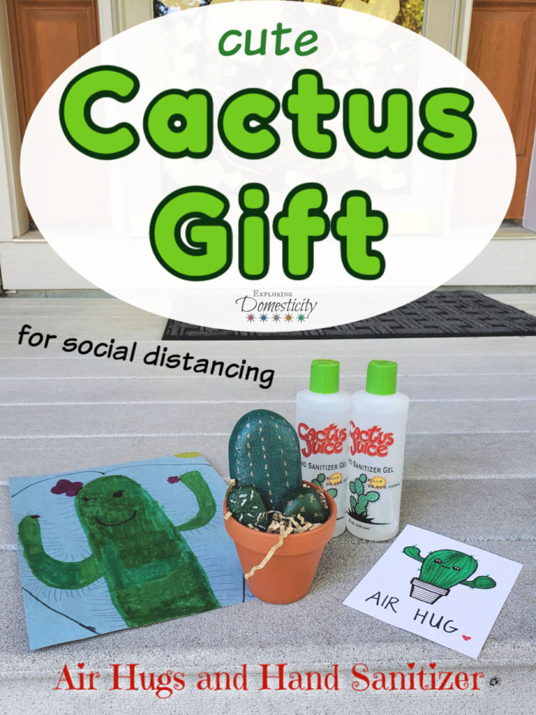 Cactus Gift for Social Distancing - Air Hugs and Hand Sanitizer
