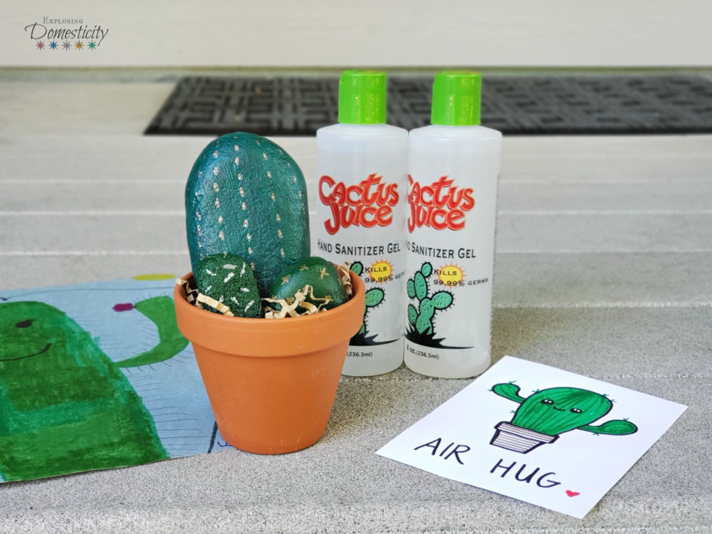 Cactus Gift for Social Distancing on the porch