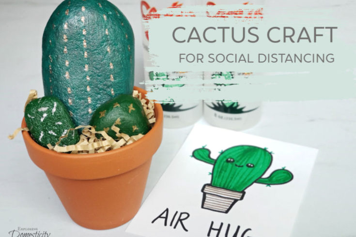 Cactus Gift with Air Hug note and Cactus Juice hand sanitizer feature