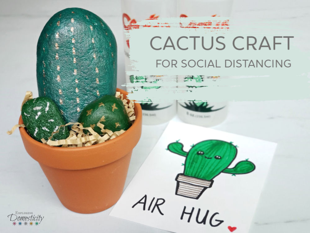 Cactus Gift with Air Hug note and Cactus Juice hand sanitizer feature