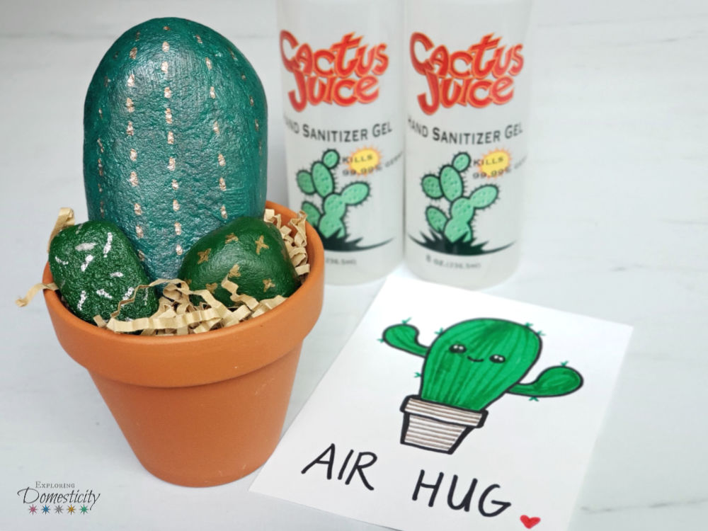 Cactus Gift with Air Hug note and Cactus Juice hand sanitizer