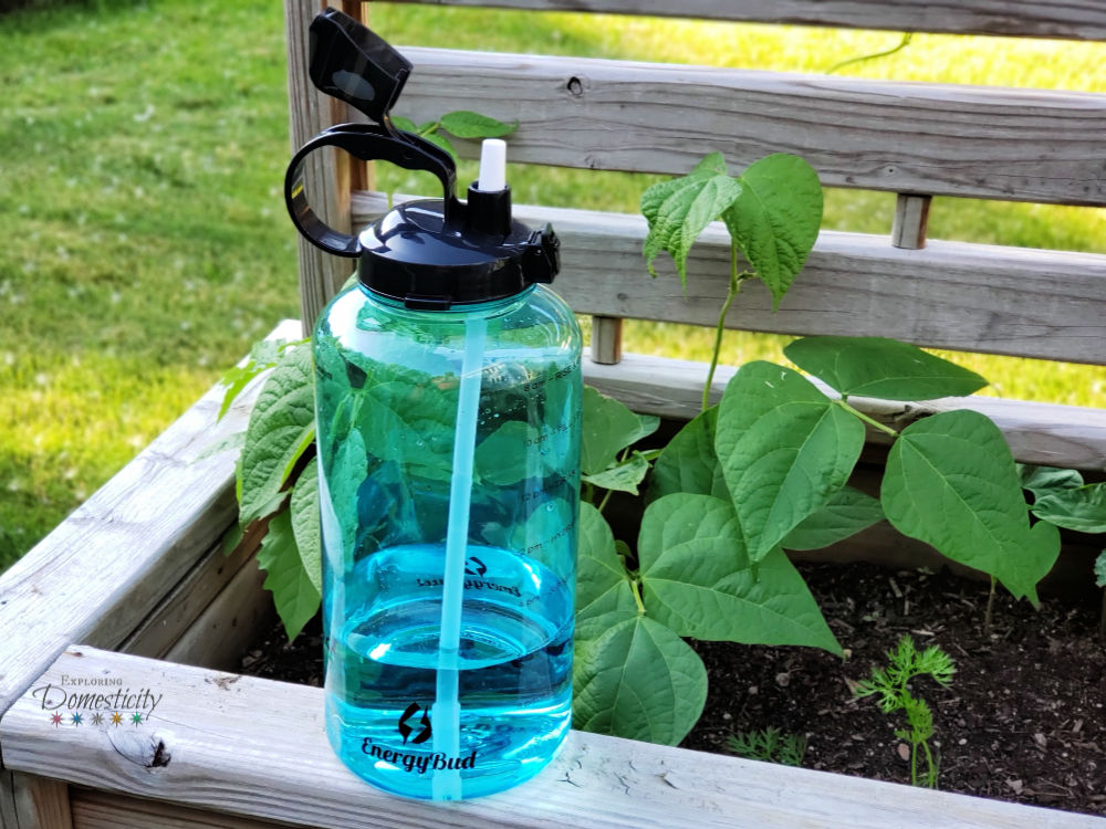 Gallon Water Bottle and garden